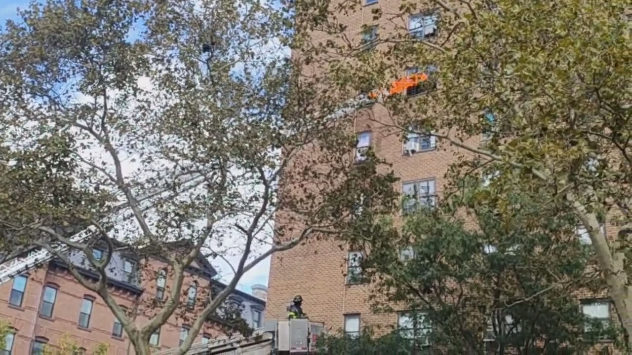 Video 5