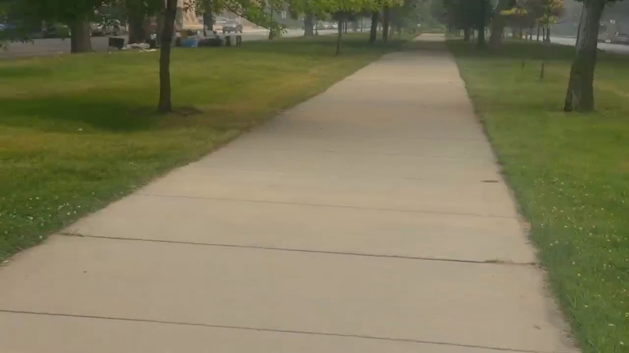 Video 168