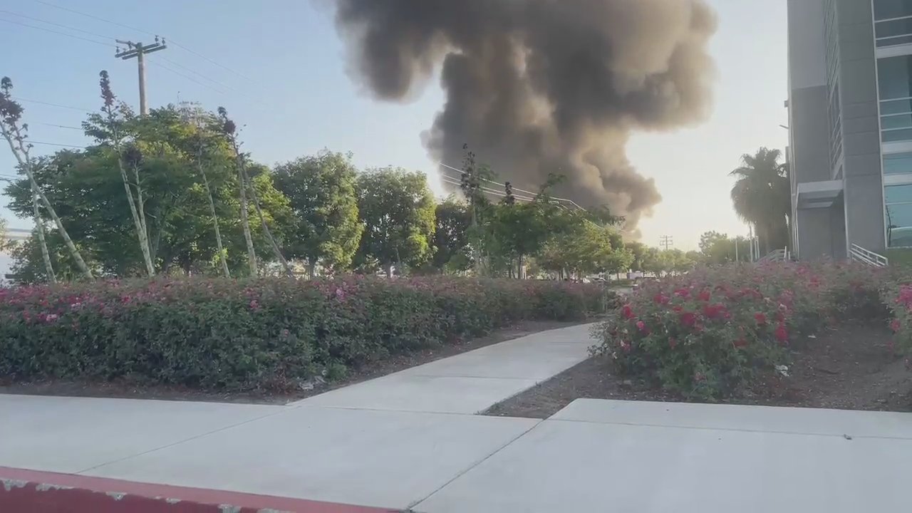 Video 42