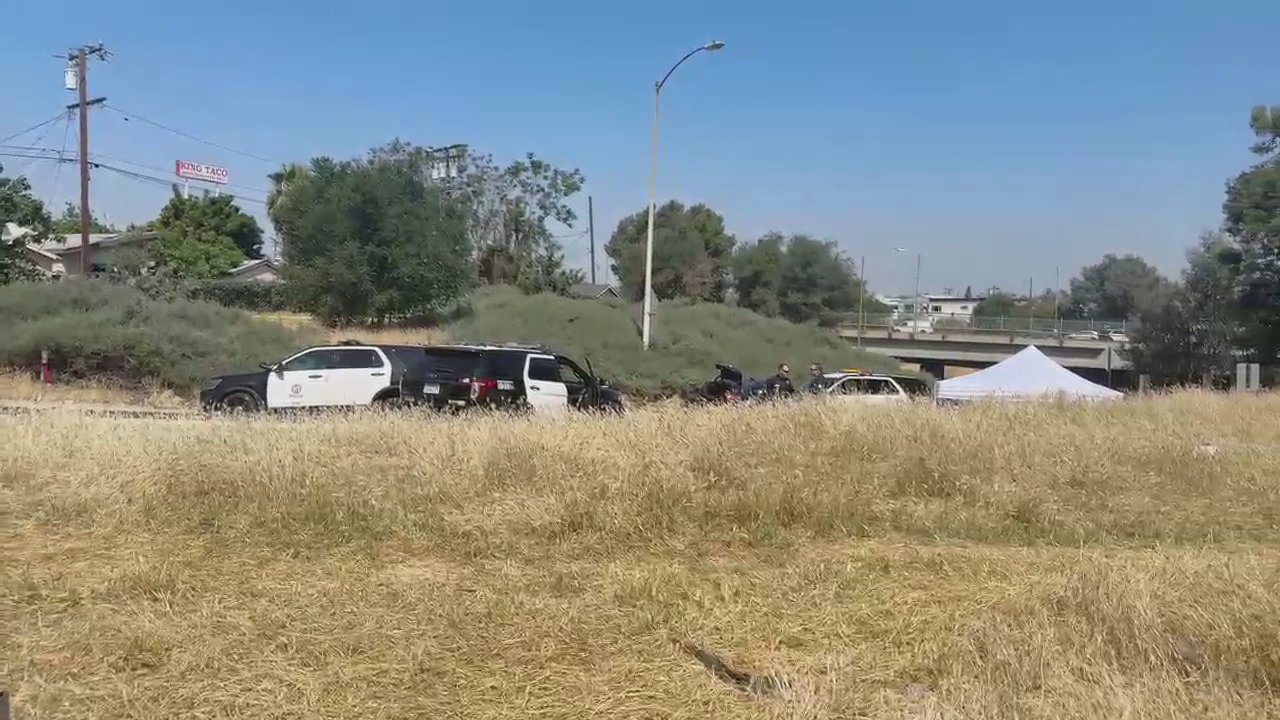 Video 2