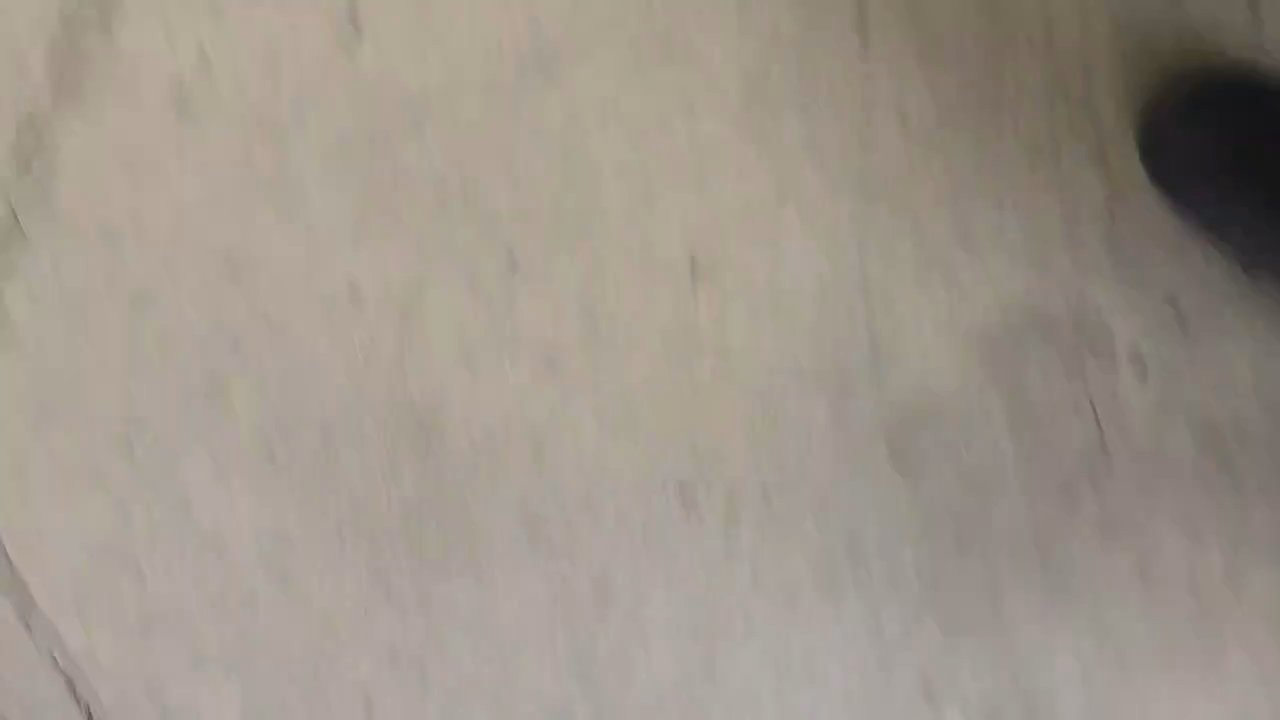 Video 23