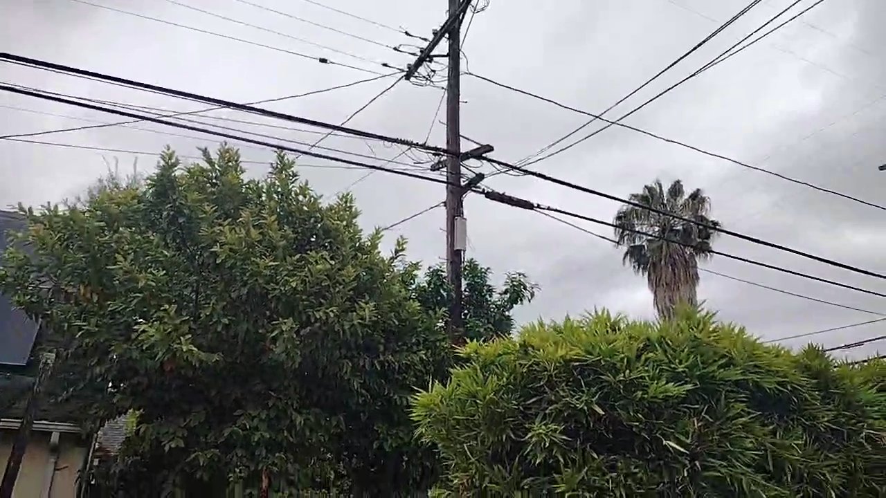 Video 5