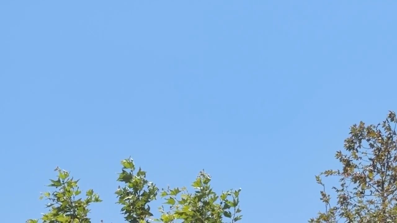 Video 6