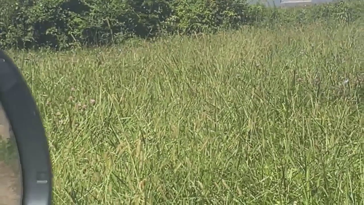 Video 2