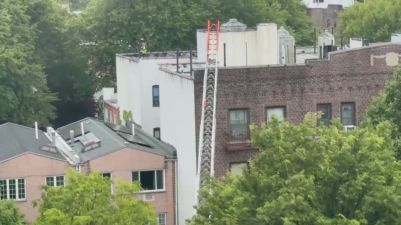 Video 3