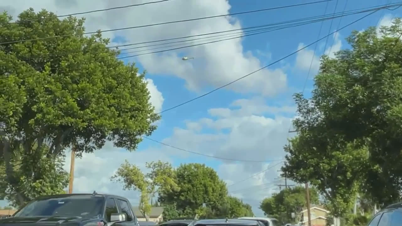 Video 8