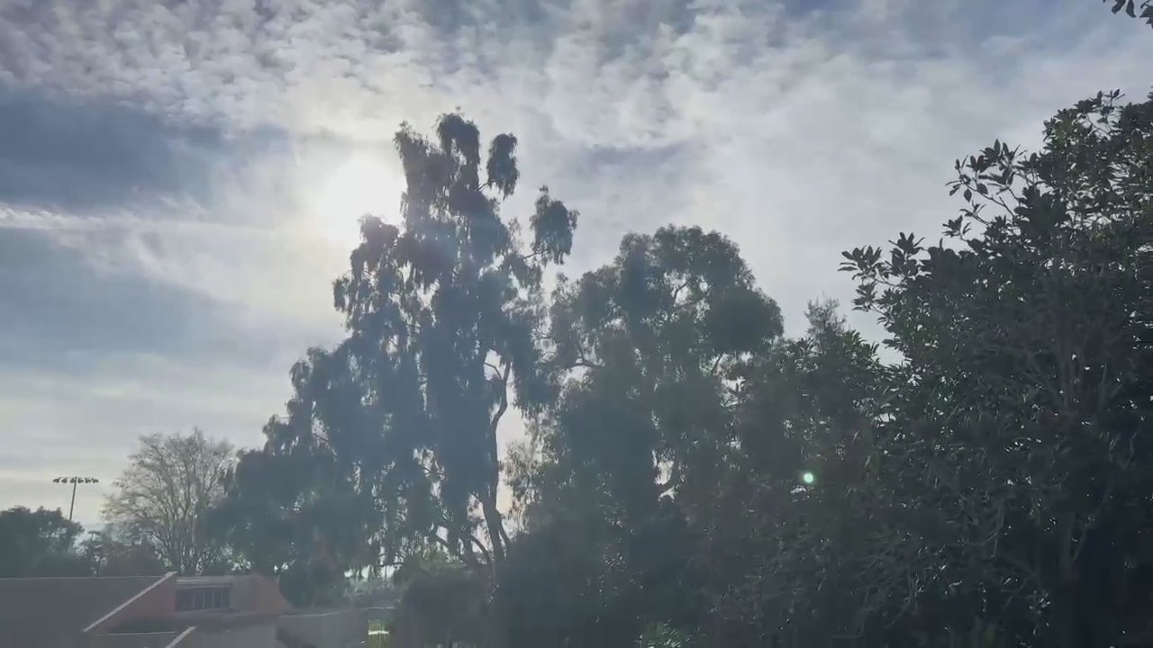 Video 23