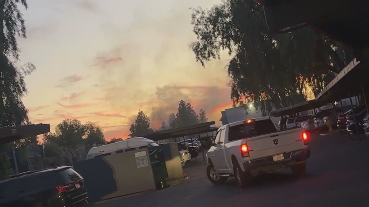 Video 4