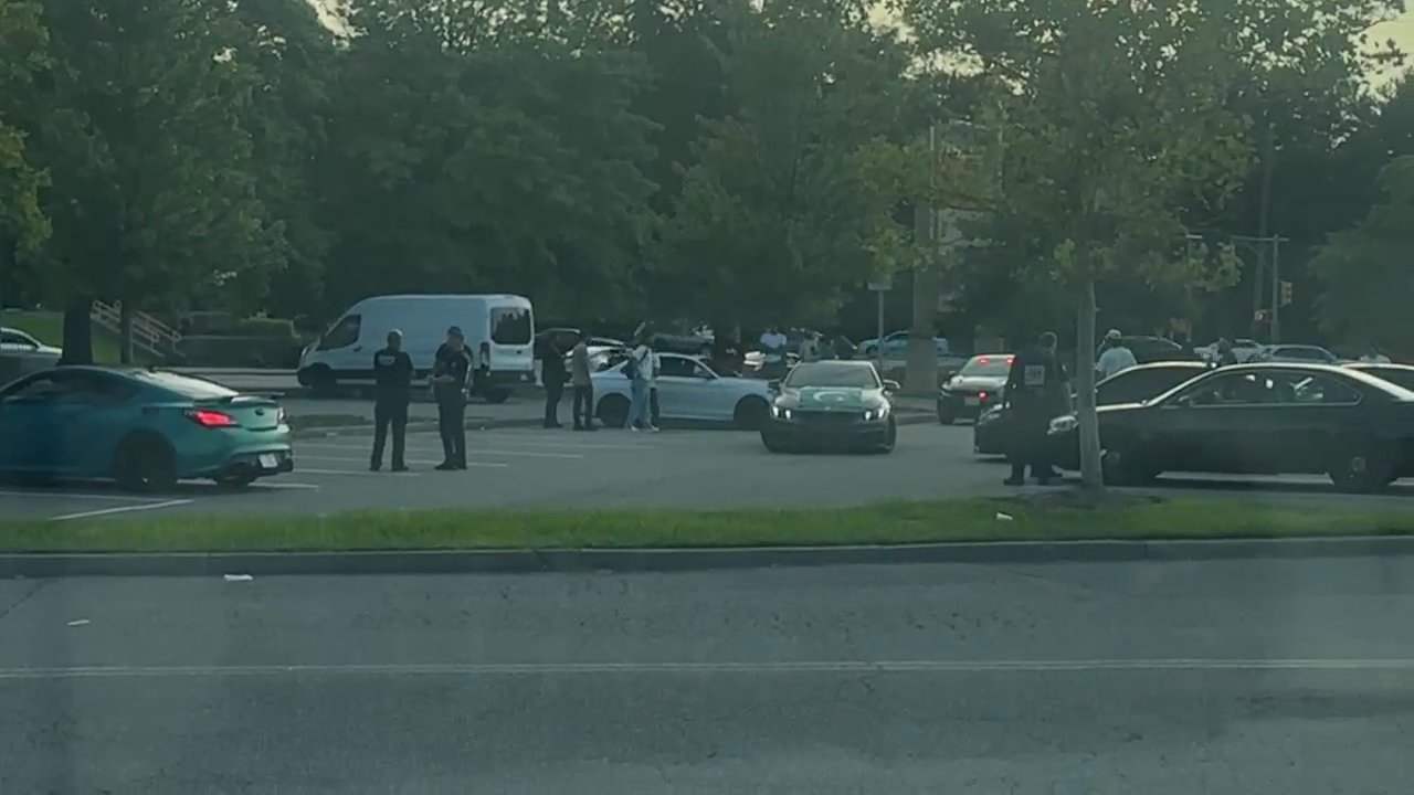 Video 2