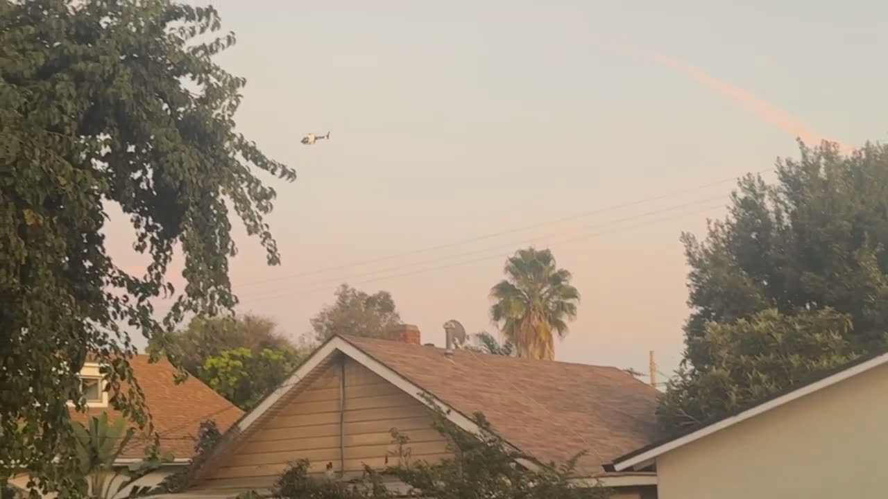 Video 31