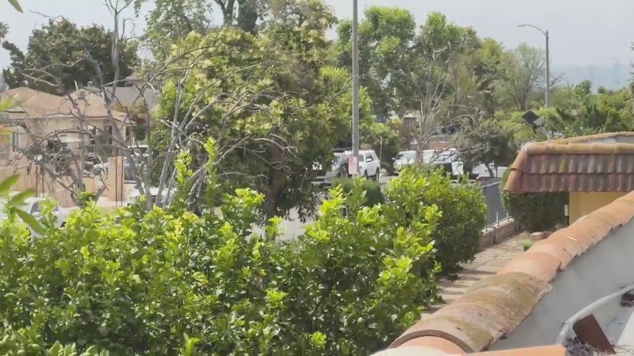 Video 7