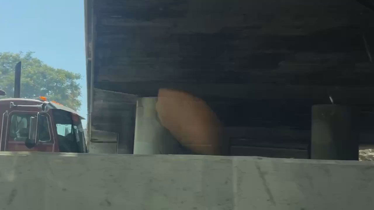 Video 3