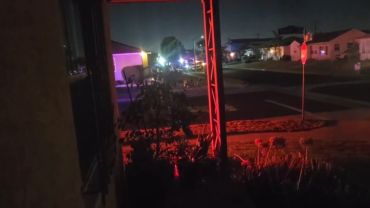 Video 5