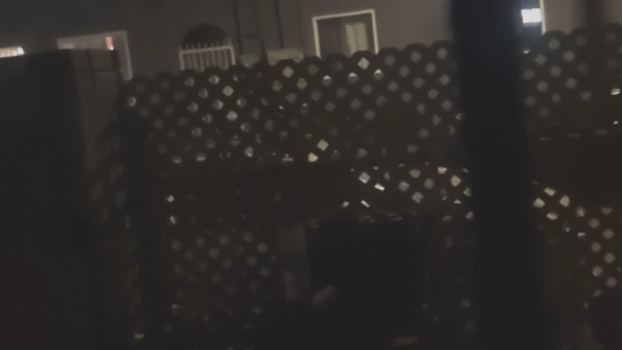 Video 2