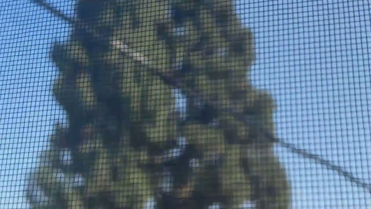 Video 13