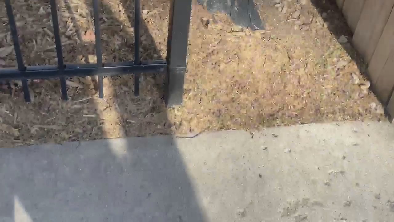 Video 1