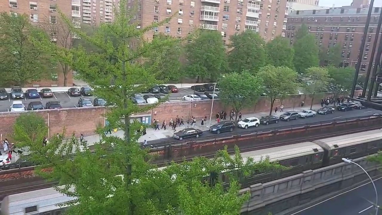 Video 31