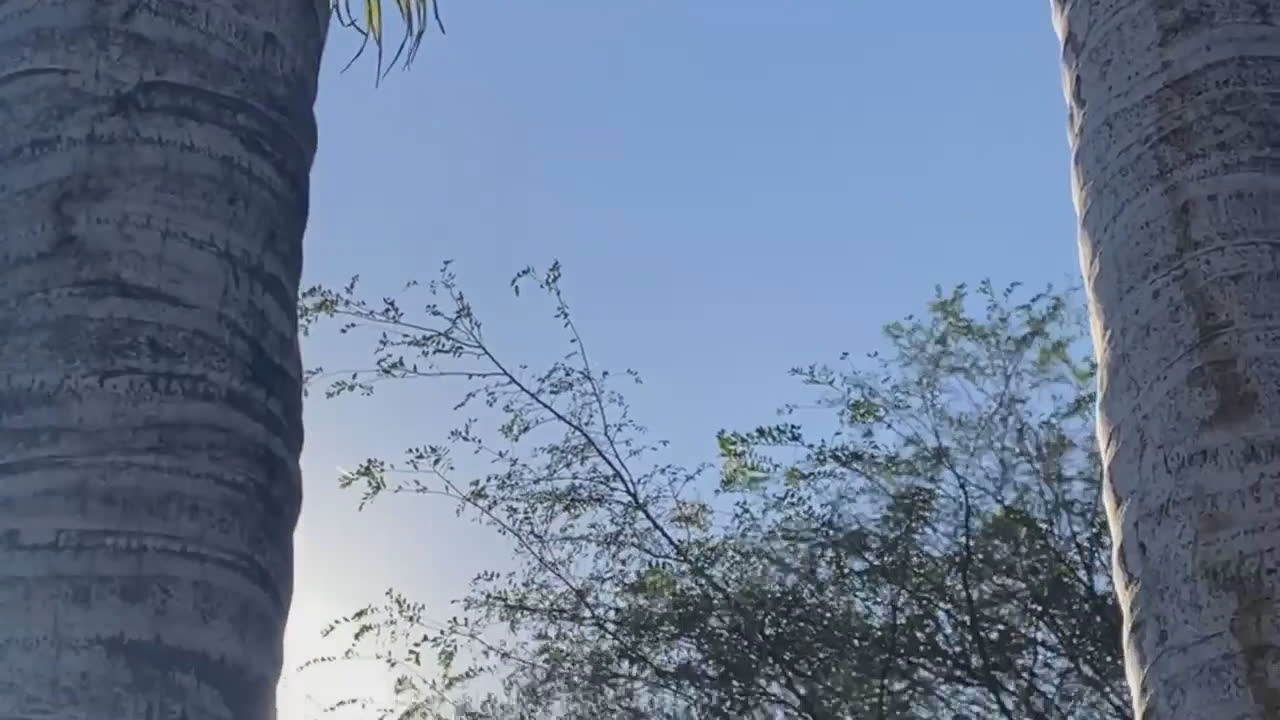 Video 9