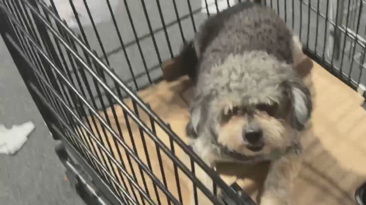Video 3