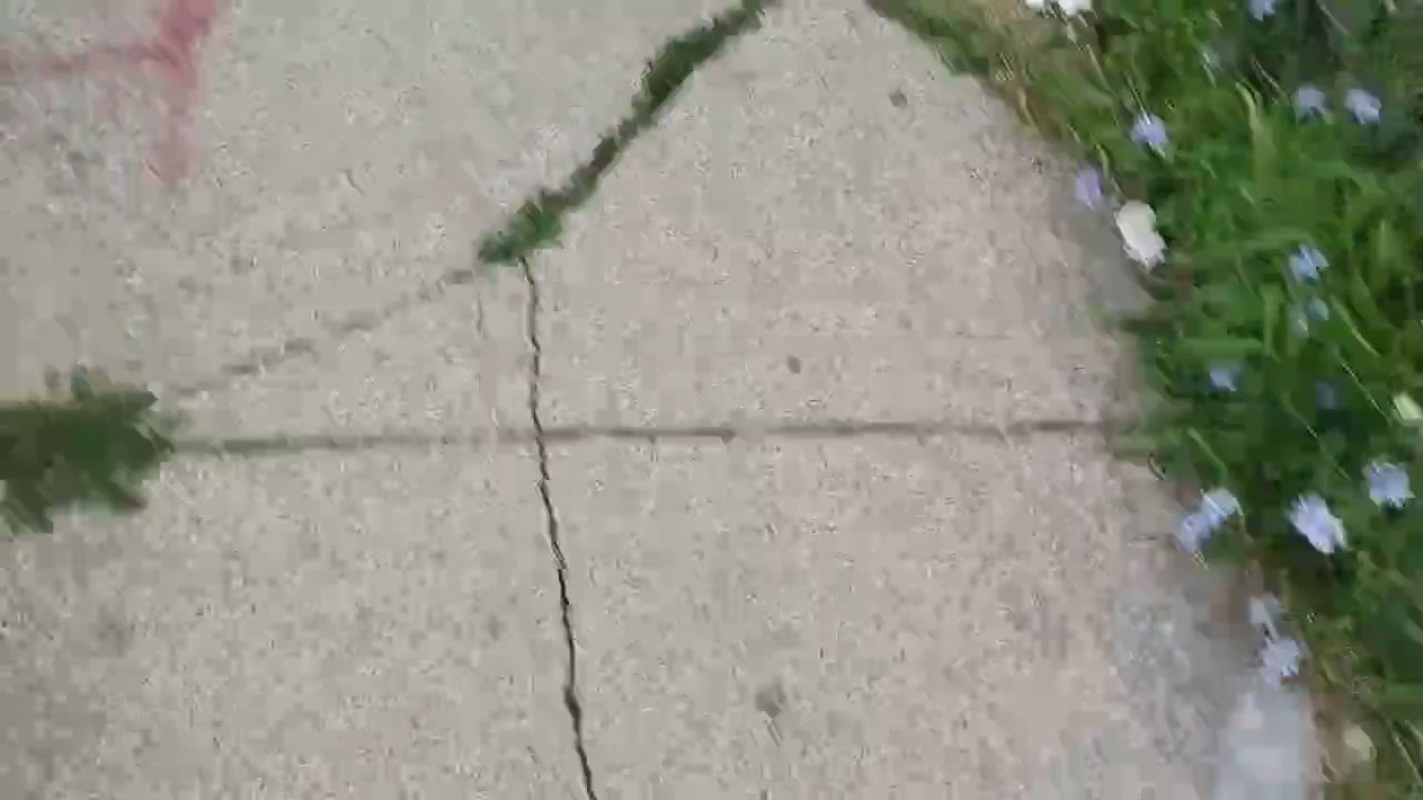 Video 6
