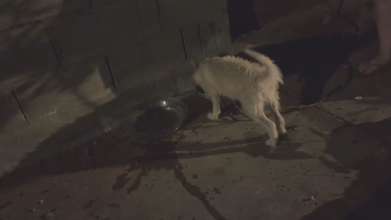 Video 2