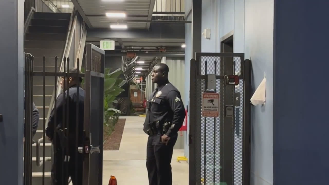 Video 7