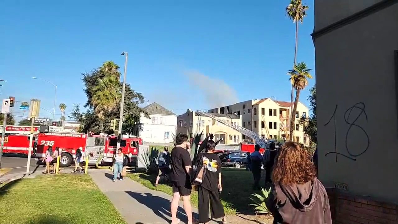 Video 6