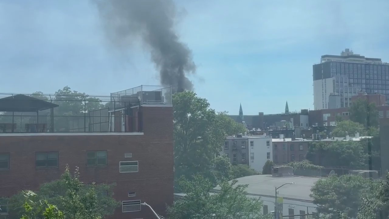 Video 6