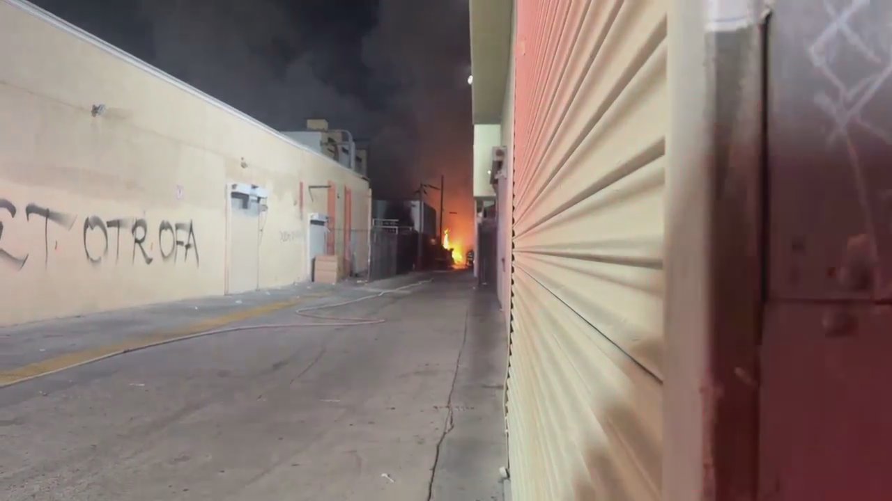 Video 19