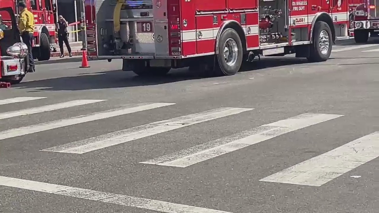 Video 31