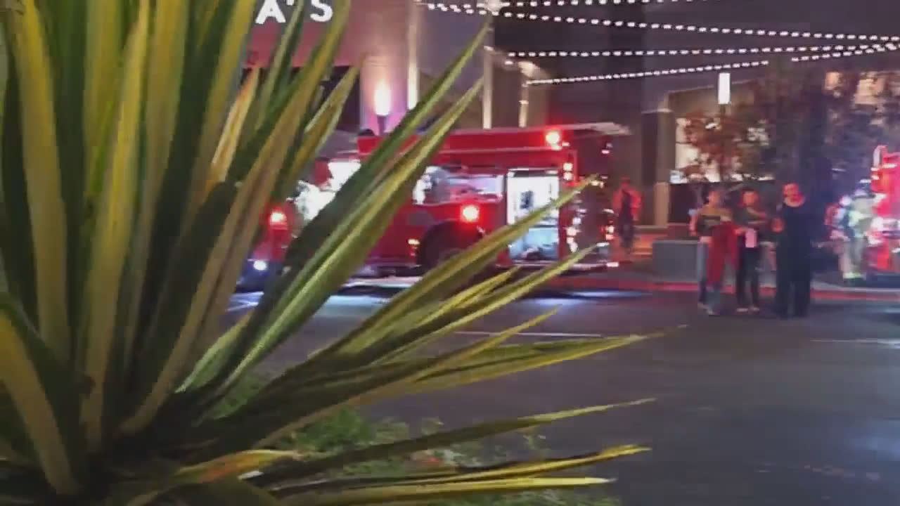 Video 2