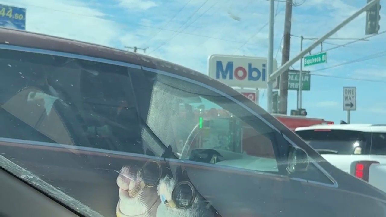 Video 2