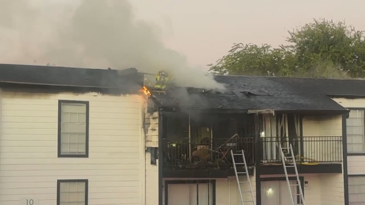 Video 7