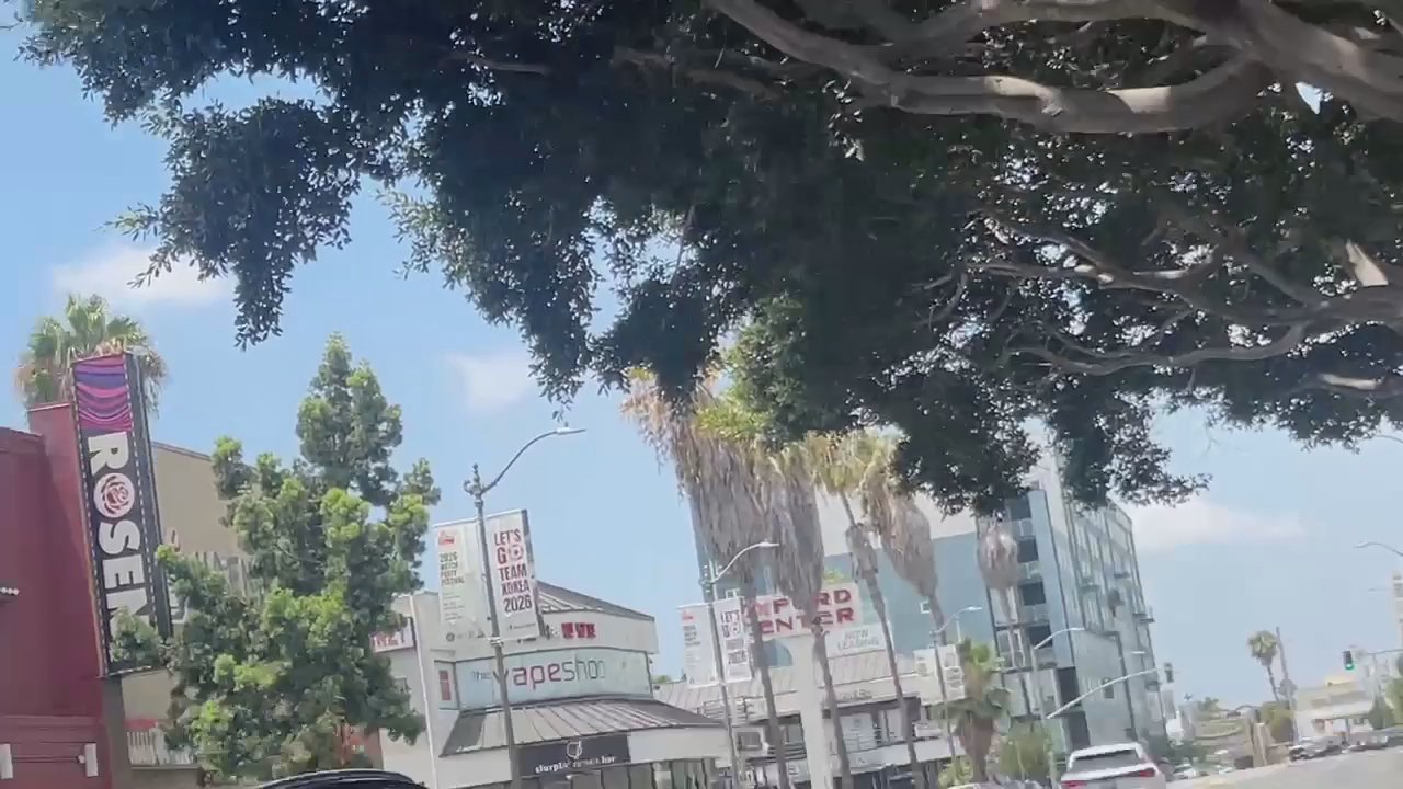 Video 4