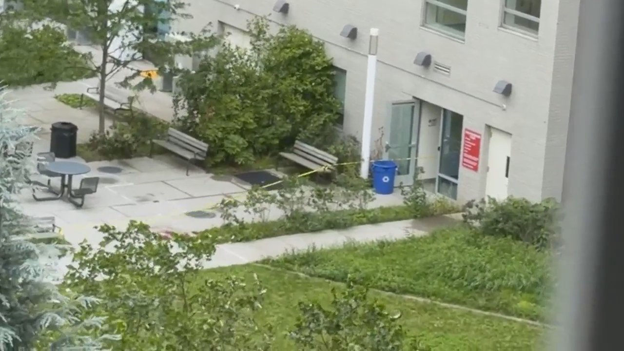 Video 2