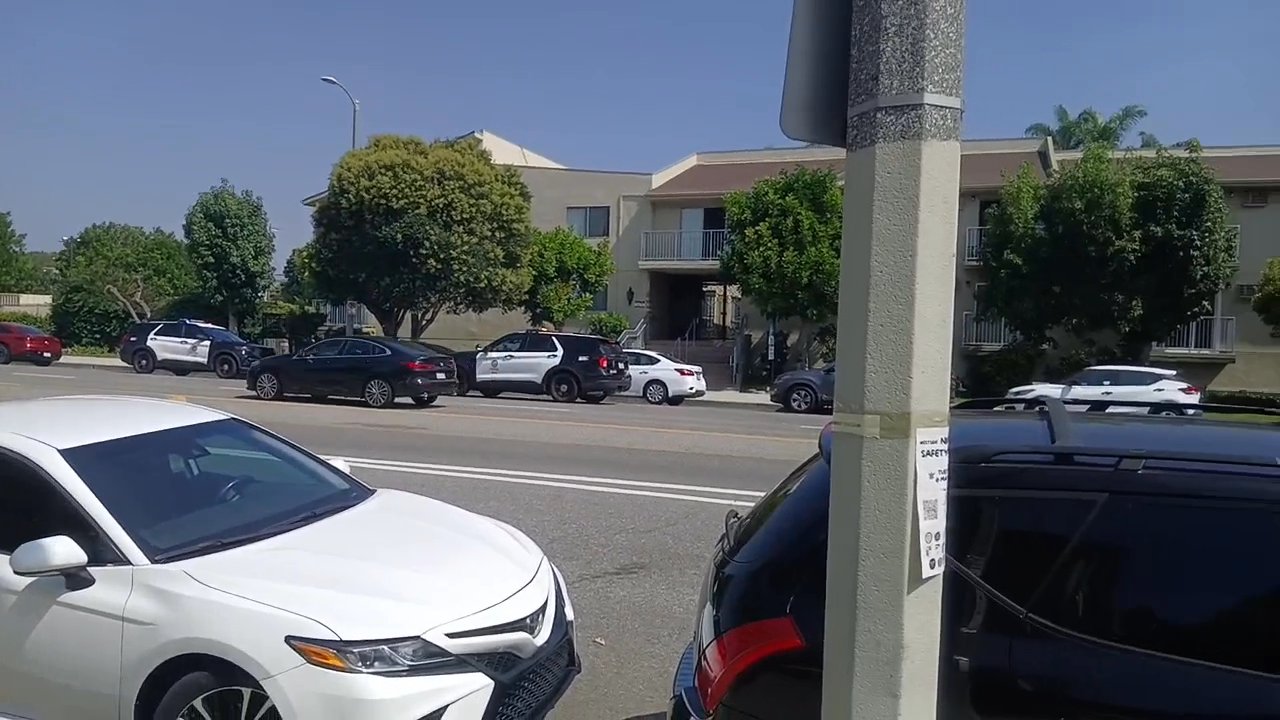 Video 5