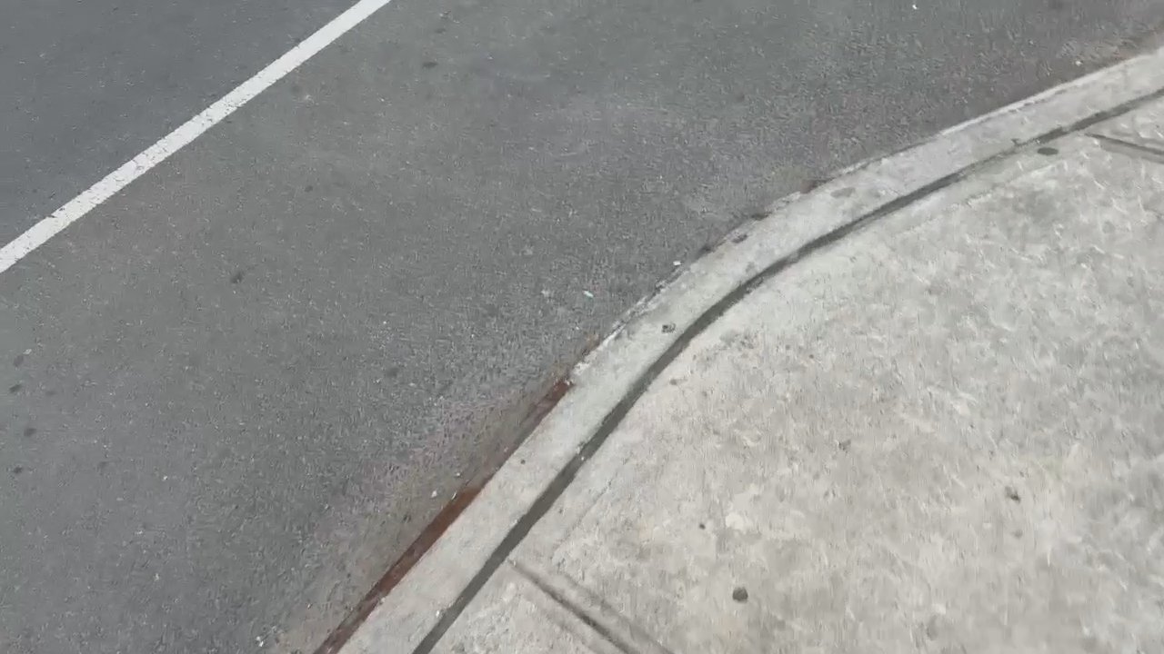 Video 11