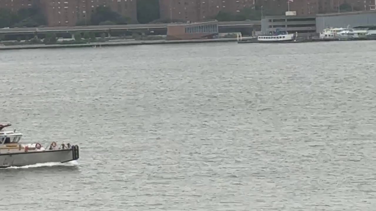 Video 5