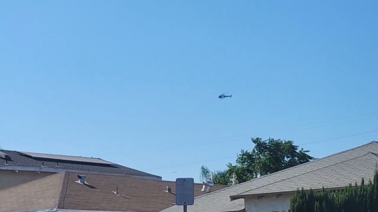 Video 13