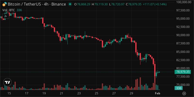 BTC crypto chart