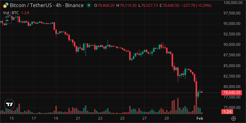 BTC crypto chart