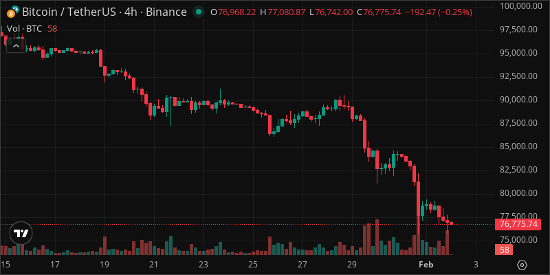 BTC crypto chart