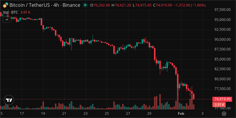BTC crypto chart