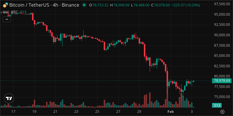 BTC crypto chart