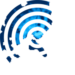 Density fingerprint of Maputo