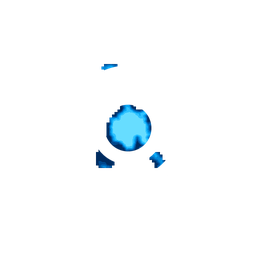 Density fingerprint of Qom