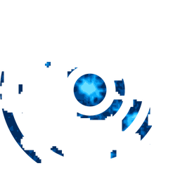 Density fingerprint of Shimoga