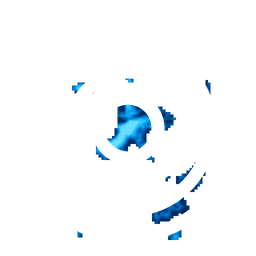 Density fingerprint of Nellore