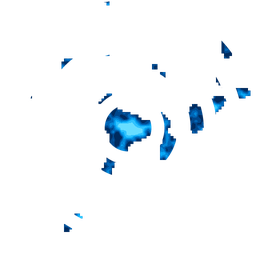 Density fingerprint of Brahmapur