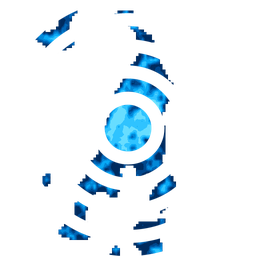 Density fingerprint of Ipoh
